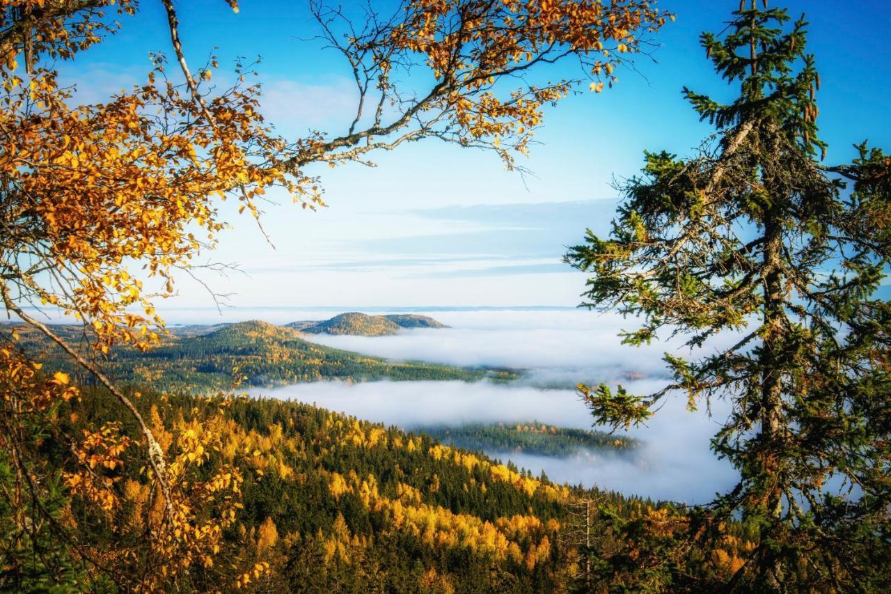 Break Sokos Hotel Koli Koli  Екстер'єр фото